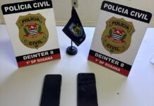 Polícia Civil faz operação e prende dois investigados por homicídio no distrito de Primavera em Rosana