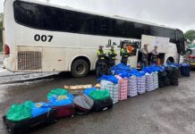 Polícia Rodoviária apreende 746 Kg de folhas de coca transportadas por quatro bolivianos em Prudente