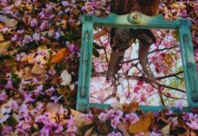 Semea realiza premiação do 9º Concurso Fotográfico “Árvores da Cidade”