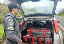 Adolescente de 17 anos é apreendido com mais de 320 quilos de maconha em Pirapozinho