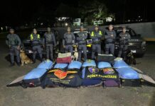 Polícia Rodoviária apreende 323 quilos de folhas de coca e 21,8 quilos de maconha em ônibus