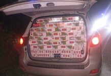 Polícia Rodoviária apreende 22 mil maços de cigarros contrabandeados em Tupi Paulista