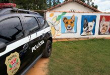 Após cães atacarem animal e dona, responsável firma acordo com a Justiça em Presidente Venceslau
