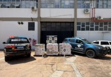 Polícia Civil apreende 450 mil cigarros em imóvel de Presidente Prudente