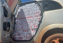 Polícia Rodoviária apreende 22 mil maços de cigarros contrabandeados em Pirapozinho