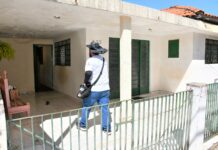 Presidente Prudente inicia levantamento para identificar criadouros do mosquito da dengue
