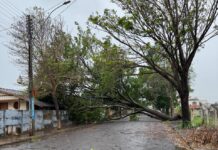 FOTOS: Intensa chuva e ventos fortes deixam rastro de destruição em Prudente no começo das eleições